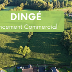 Dingé – Le Clos des Rochers – Lancement Commercial en 2025